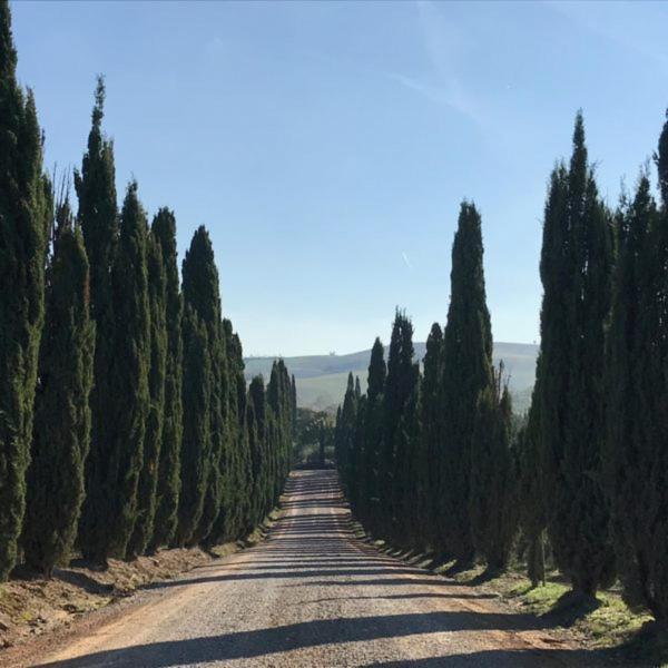Casa de férias Podere Piazza